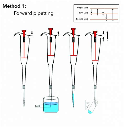 how to pipette at work